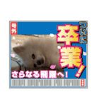 こおりしたさかなドッグ（個別スタンプ：28）