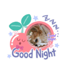 モモちゃんスマイル2（個別スタンプ：1）