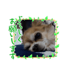 モモちゃんスマイル2（個別スタンプ：4）