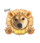 柴犬はるなちゃん かわいいぬスタンプ 3（個別スタンプ：1）