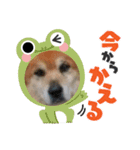 らすか⑥（個別スタンプ：6）