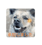 顔が死んでない台湾犬 日本語敬語（個別スタンプ：2）