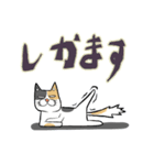 猫のメケ（個別スタンプ：2）