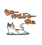 猫のメケ（個別スタンプ：8）