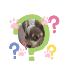 chocoの日常スタンプ（個別スタンプ：8）