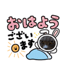 お友達の猫のカイくんと花火、風景、海、（個別スタンプ：13）