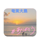 お友達の猫のカイくんと花火、風景、海、（個別スタンプ：19）