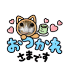 お友達の猫のカイくんと花火、風景、海、（個別スタンプ：27）