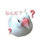 ぶんぶんぶんた！（個別スタンプ：1）