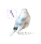 ぶんぶんぶんた！（個別スタンプ：2）