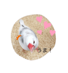 ぶんぶんぶんた！（個別スタンプ：3）