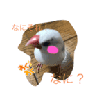 ぶんぶんぶんた！（個別スタンプ：7）