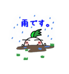 カブ菌（個別スタンプ：35）