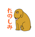 飲み会専用アニマルズ（個別スタンプ：10）