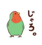 主張の激しいコザクラインコ(広島弁)（個別スタンプ：3）