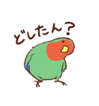 主張の激しいコザクラインコ(広島弁)（個別スタンプ：13）