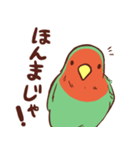 主張の激しいコザクラインコ(広島弁)（個別スタンプ：14）