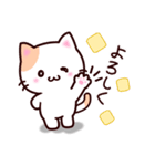 毎日ねこのみるく（個別スタンプ：11）