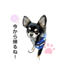 犬のチョコ君6❤（個別スタンプ：4）