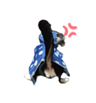 犬のチョコ君6❤（個別スタンプ：14）