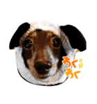 アンリと杏子（個別スタンプ：1）