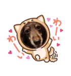 アンリと杏子（個別スタンプ：6）