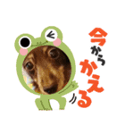 アンリと杏子（個別スタンプ：14）