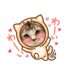 ねんねこ寝子ちゃん（個別スタンプ：16）