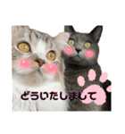 ねんねこ寝子ちゃん（個別スタンプ：17）