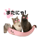 ねんねこ寝子ちゃん（個別スタンプ：18）