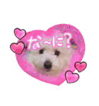 姫、もぷ（個別スタンプ：2）