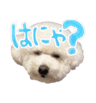 姫、もぷ（個別スタンプ：4）