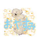姫、もぷ（個別スタンプ：5）