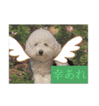 姫、もぷ（個別スタンプ：9）