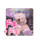 姫、もぷ（個別スタンプ：10）