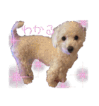 姫、もぷ（個別スタンプ：14）