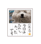 姫、もぷ（個別スタンプ：17）