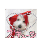 姫、もぷ（個別スタンプ：21）