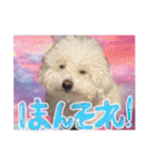 姫、もぷ（個別スタンプ：25）