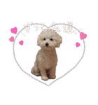 姫、もぷ（個別スタンプ：27）