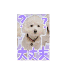 姫、もぷ（個別スタンプ：30）