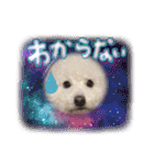 姫、もぷ（個別スタンプ：31）