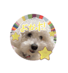 姫、もぷ（個別スタンプ：32）