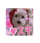姫、もぷ（個別スタンプ：34）