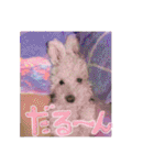 姫、もぷ（個別スタンプ：37）