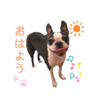 レイちいスタンプ④（個別スタンプ：3）