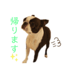 レイちいスタンプ④（個別スタンプ：7）