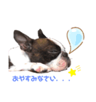 レイちいスタンプ④（個別スタンプ：8）