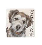 リアルわんニャン竹馬さん〜犬編〜（個別スタンプ：5）