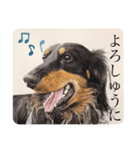 リアルわんニャン竹馬さん〜犬編〜（個別スタンプ：16）